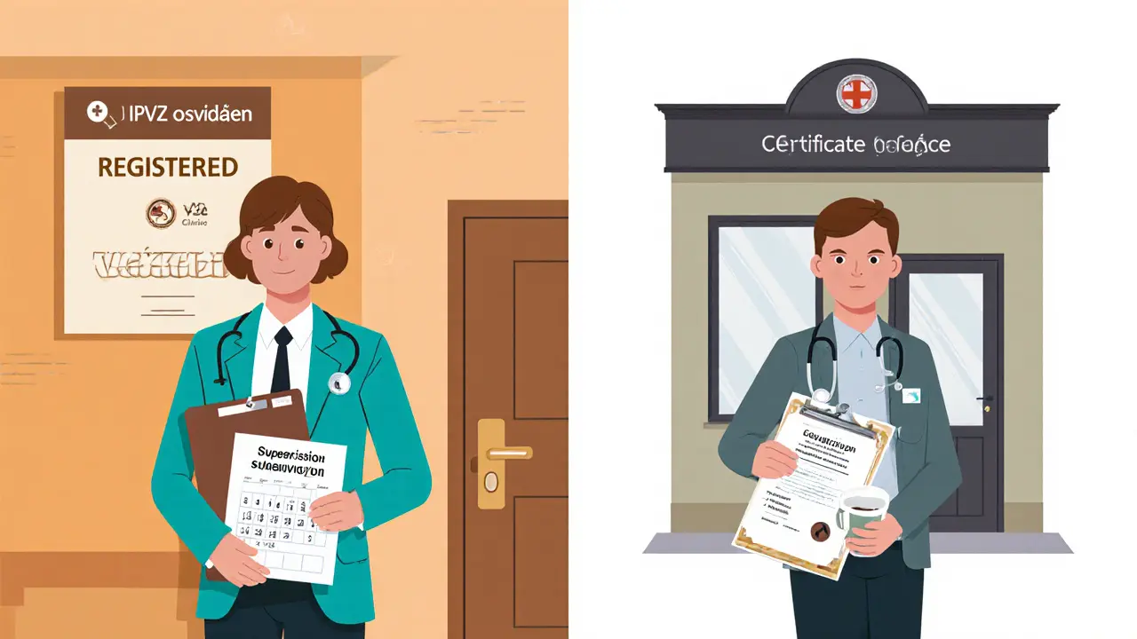 Porovnání kvalifikovaného terapeuta v klinice a nekvalifikovaného poradce venku.