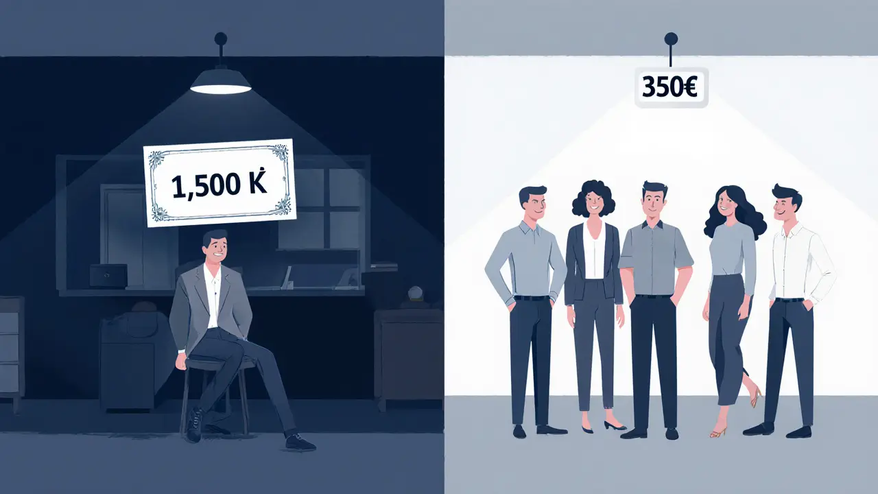 Porovnání ceny: jednotlivec s vysokou fakturou vs. skupina s nízkou cenou a radostným výrazem.