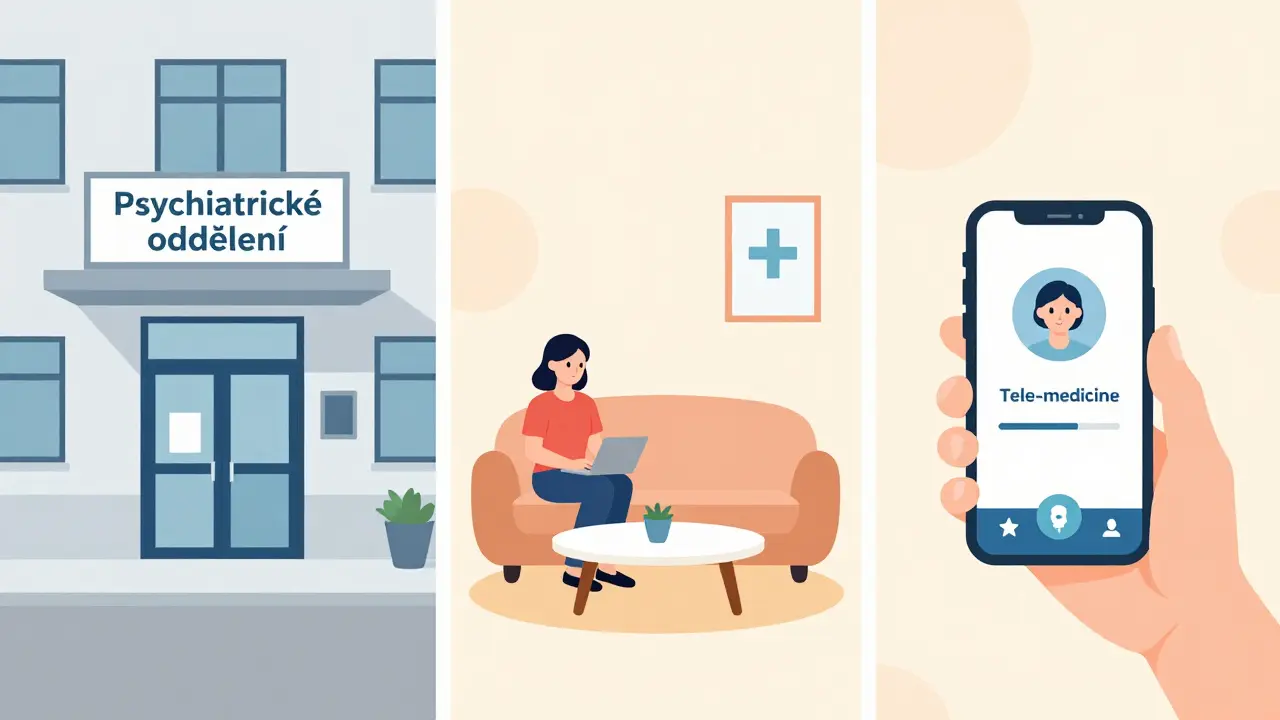 Flat ilustrace možností péče: nemocniční pohotovost, krizové centrum a telemedicína.